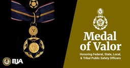 Medal of Valor